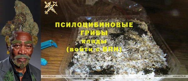хмурый Протвино