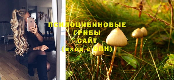 меф Приозерск