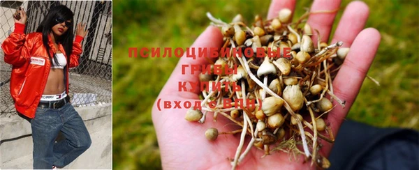 хмурый Протвино