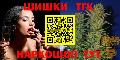 молекула духа Будённовск