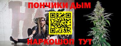 молекула духа Будённовск