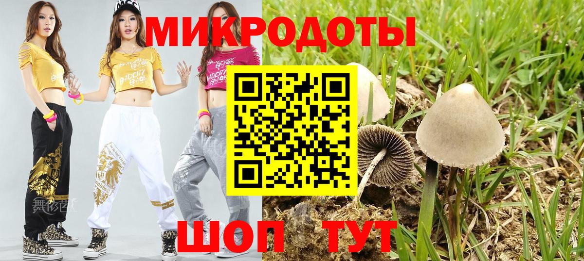 Галлюциногенные грибы Psilocybe  Киров 
